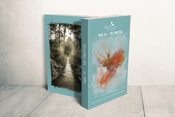 The Seed Movement: Created In Divine Choreography written in Heaven - Part III